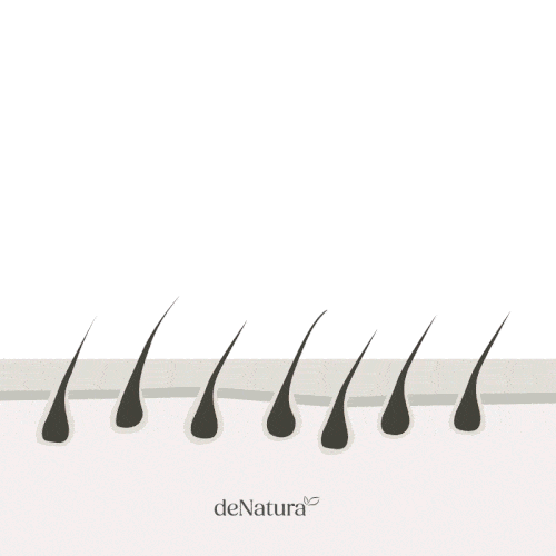 ezgif.com-video-to-gif (1)